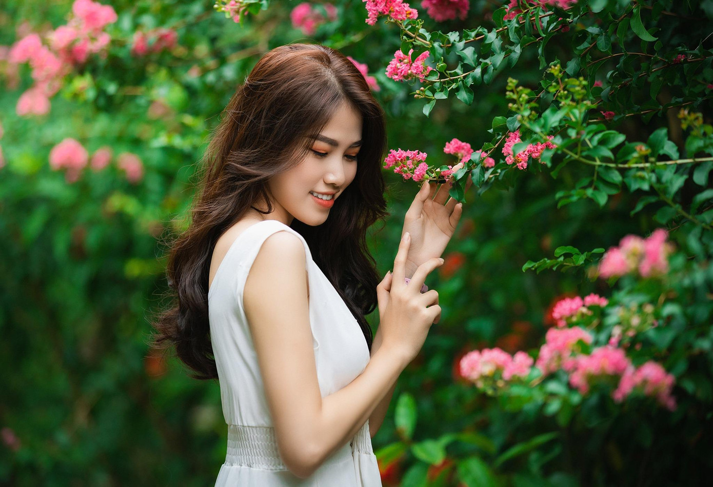 Thiếu nữ dịu dàng bên hoa tường vi (Ảnh: Lưu Đức Dũng).