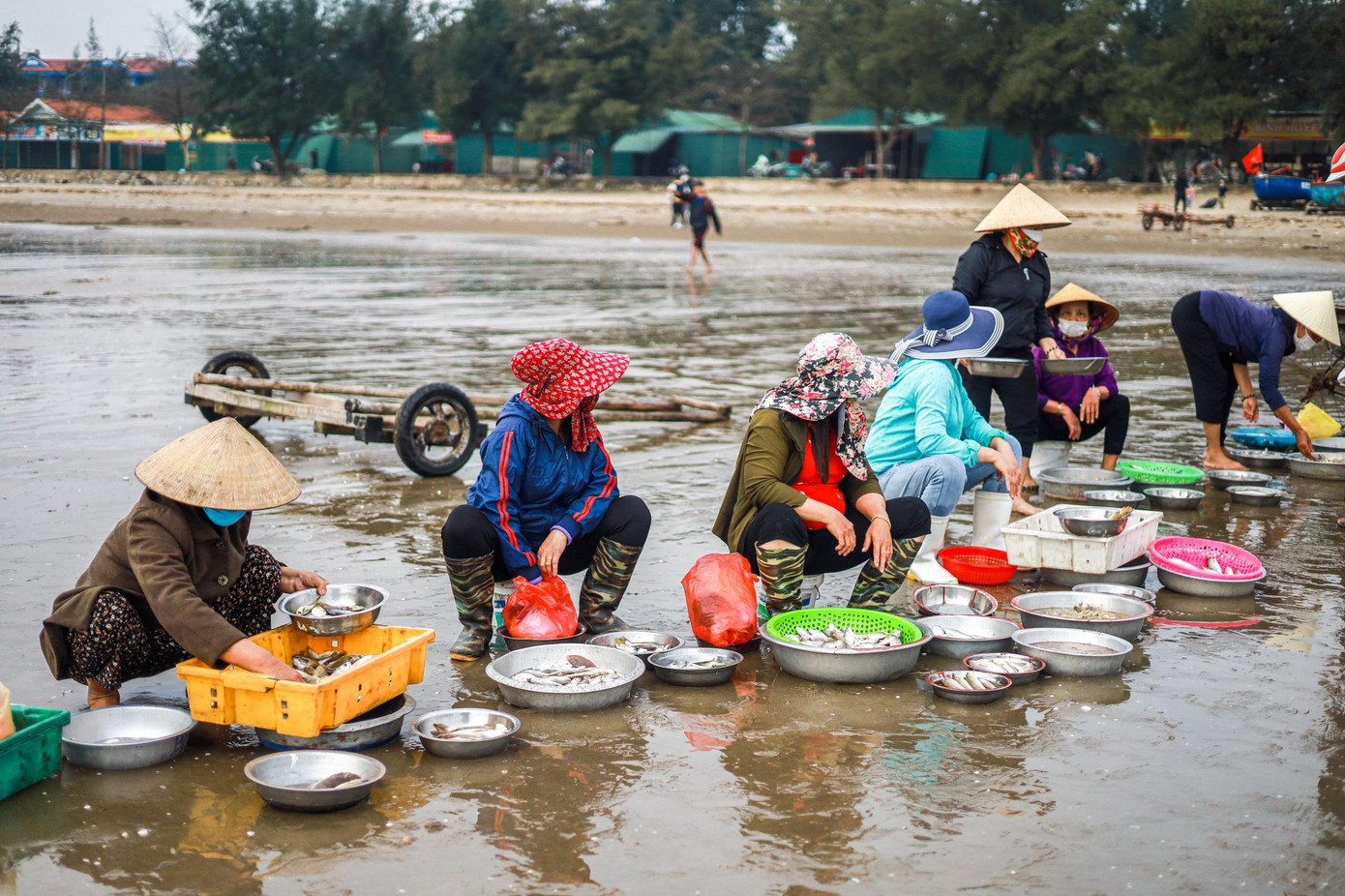 Tôm, cá, mực... sau khi đánh bắt nhanh chóng được ngư dân rao bán ngay tại bãi biển. Thu nhập bình quân khoảng 1 - 2 triệu đồng/người/ngày.