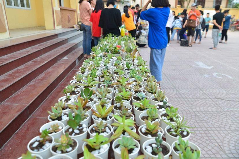 Lượng cây sen đá được Ban tổ chức chuẩn bị cho buổi quy đổi giấy năm ngoái. Lượng cây sen đá được Ban tổ chức chuẩn bị cho buổi quy đổi giấy năm ngoái.