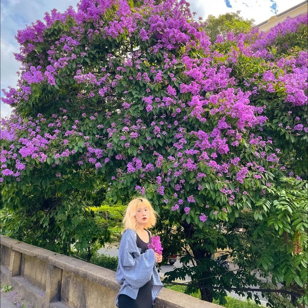 Giới trẻ rủ nhau tranh thủ check-in cùng hoa bằng lăng tím (Ảnh: Instagram foodbycuu 2).