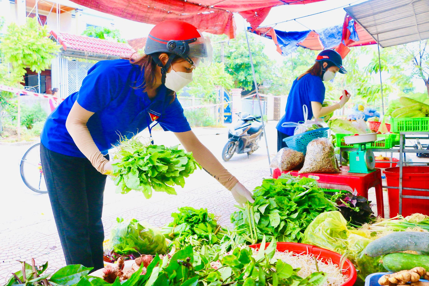 Mỗi tấm bằng khen như tiếp thêm động lực lớn lao để cô tiếp tục chinh phục mục tiêu ở phía trước.