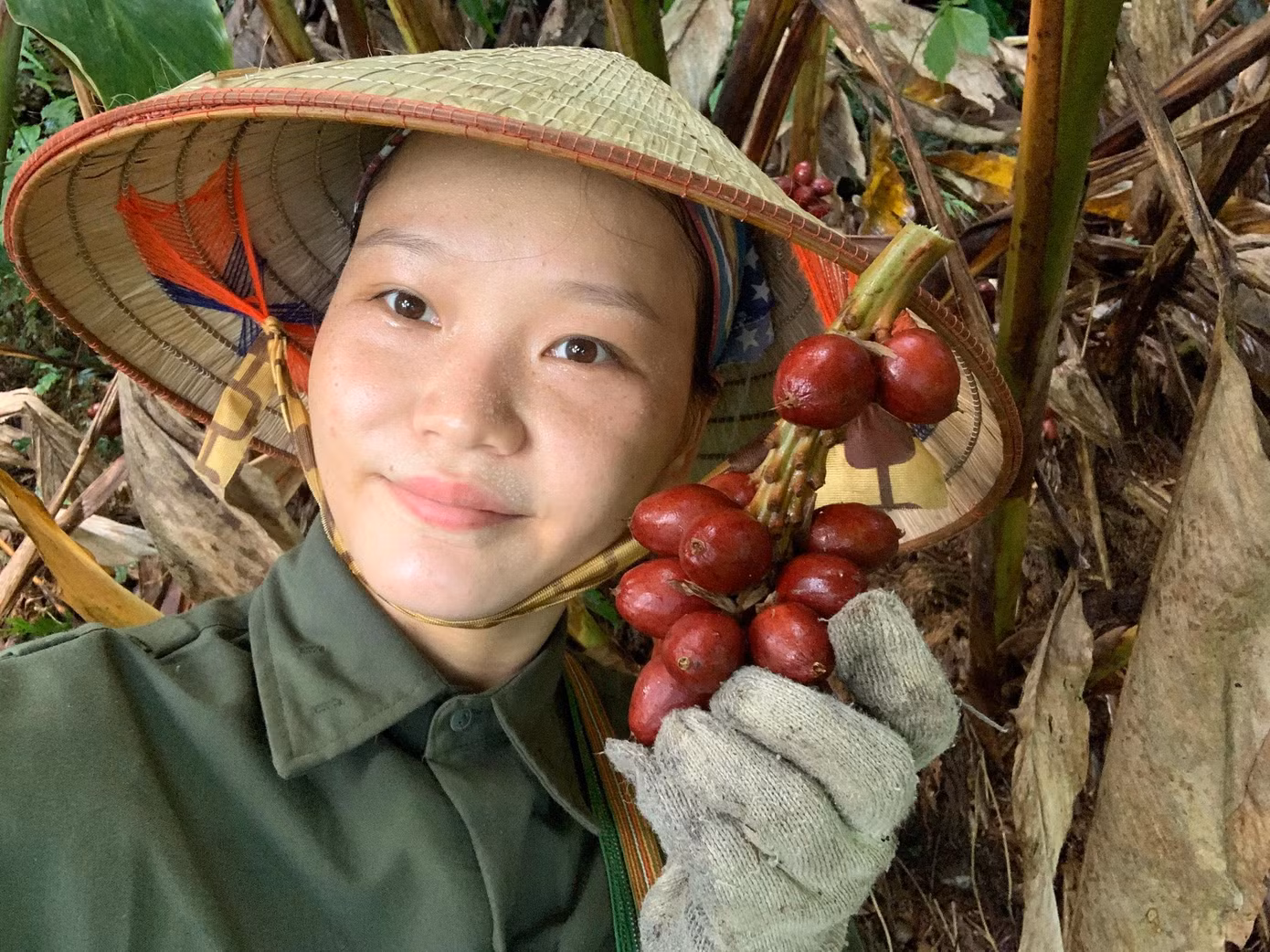 Hoài Thương thu hoạch và chế biến thảo quả.