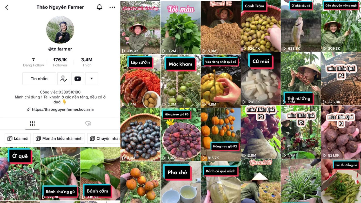 Kênh Tiktok Thảo Nguyên Farmer với những video có nội dung về nét văn hóa, ẩm thực tại quê hương Hà Giang nhận được sự quan tâm, theo dõi của đông đảo mọi người. Ảnh chụp màn hình