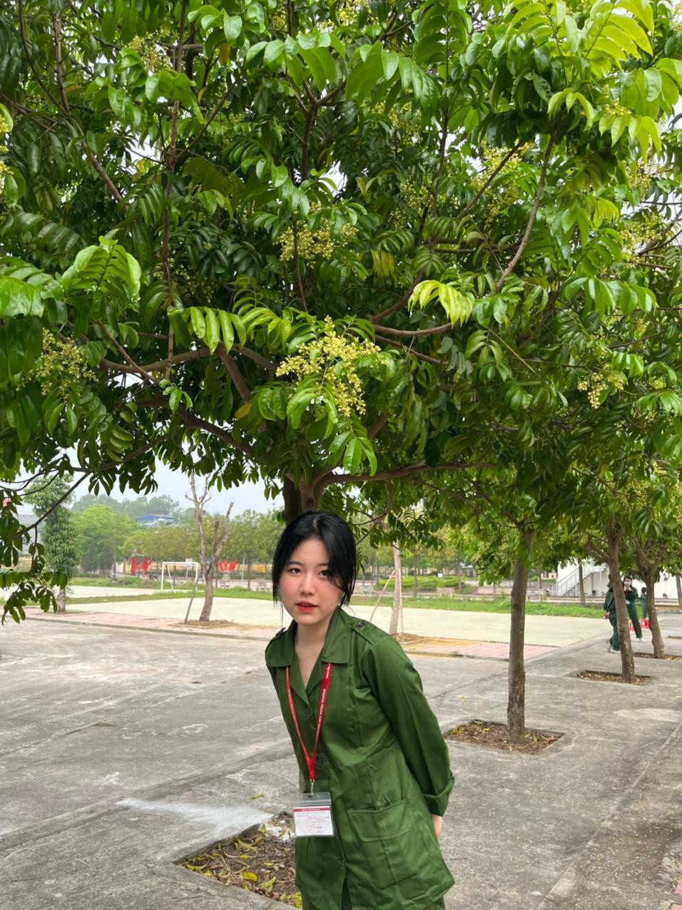 Nhờ những nỗ lực không ngừng nghỉ, Hòa Hương đã xuất sắc giành giải Nhì Học sinh giỏi cấp Quốc gia môn Ngữ Văn. Nhờ những nỗ lực không ngừng nghỉ, Hòa Hương đã xuất sắc giành giải Nhì Học sinh giỏi cấp Quốc gia môn Ngữ Văn.