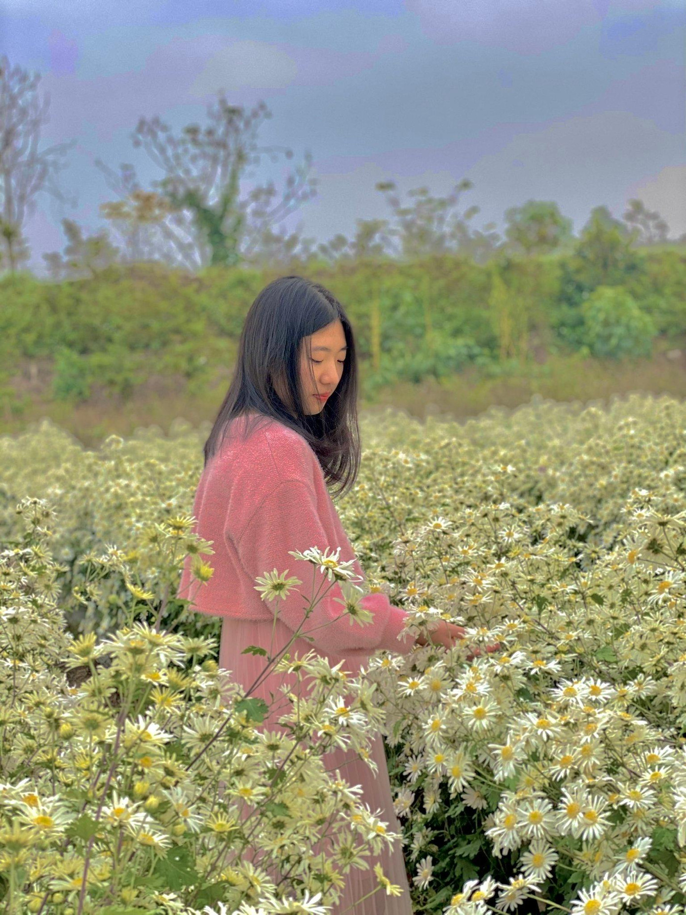 Đến một ngày Hằng nhận ra bản thân cần phá bỏ giới hạn, phá bỏ vỏ ốc an toàn để bứt phá như mọi người. Đến một ngày Hằng nhận ra bản thân cần phá bỏ giới hạn, phá bỏ vỏ ốc an toàn để bứt phá như mọi người.