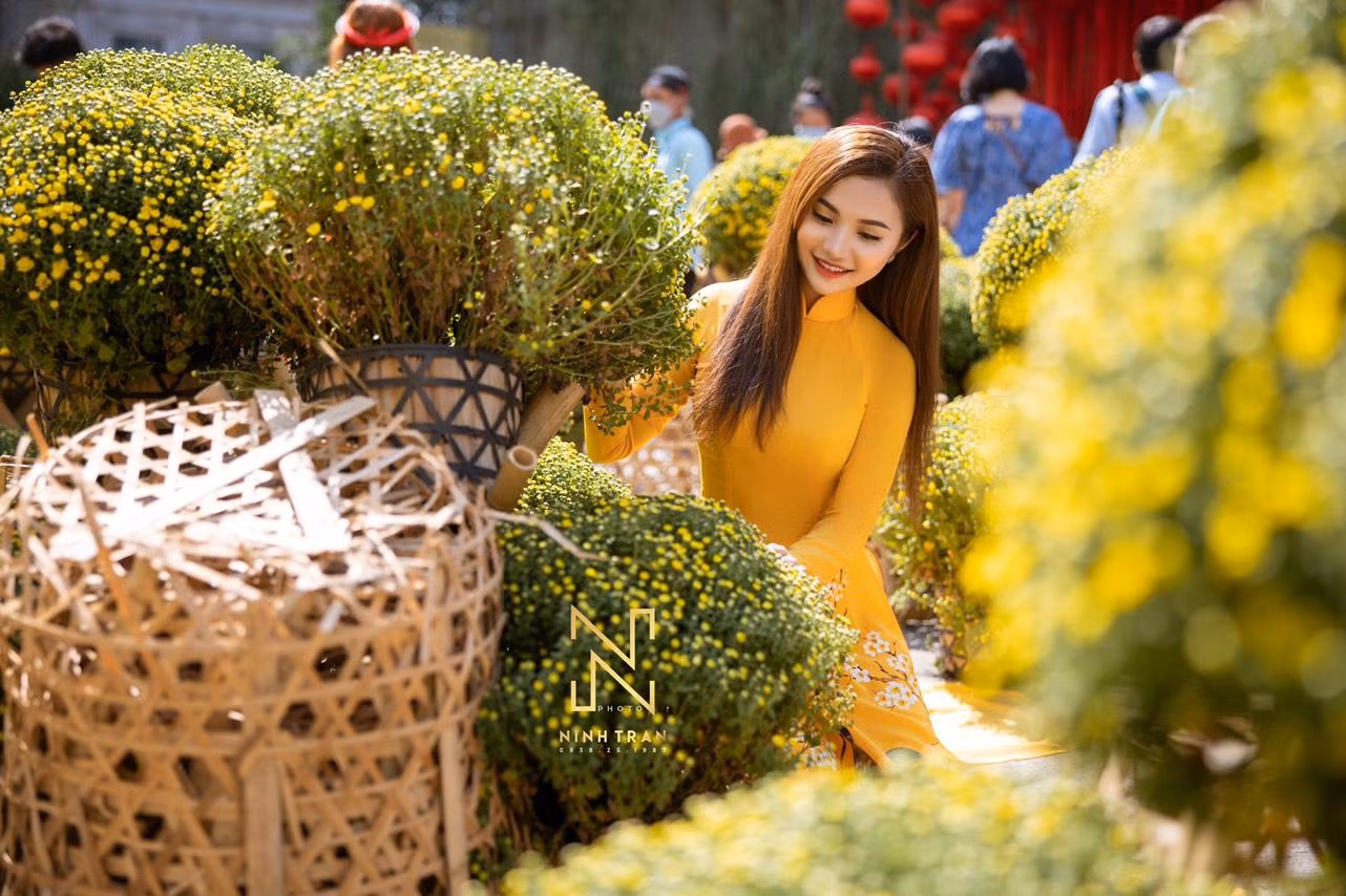 Thiếu nữ Bến Tre được nhiều người biết đến sau bộ ảnh chào Xuân Nhâm Dần rực rỡ sắc vàng. Thiếu nữ Bến Tre được nhiều người biết đến sau bộ ảnh chào Xuân Nhâm Dần rực rỡ sắc vàng.
