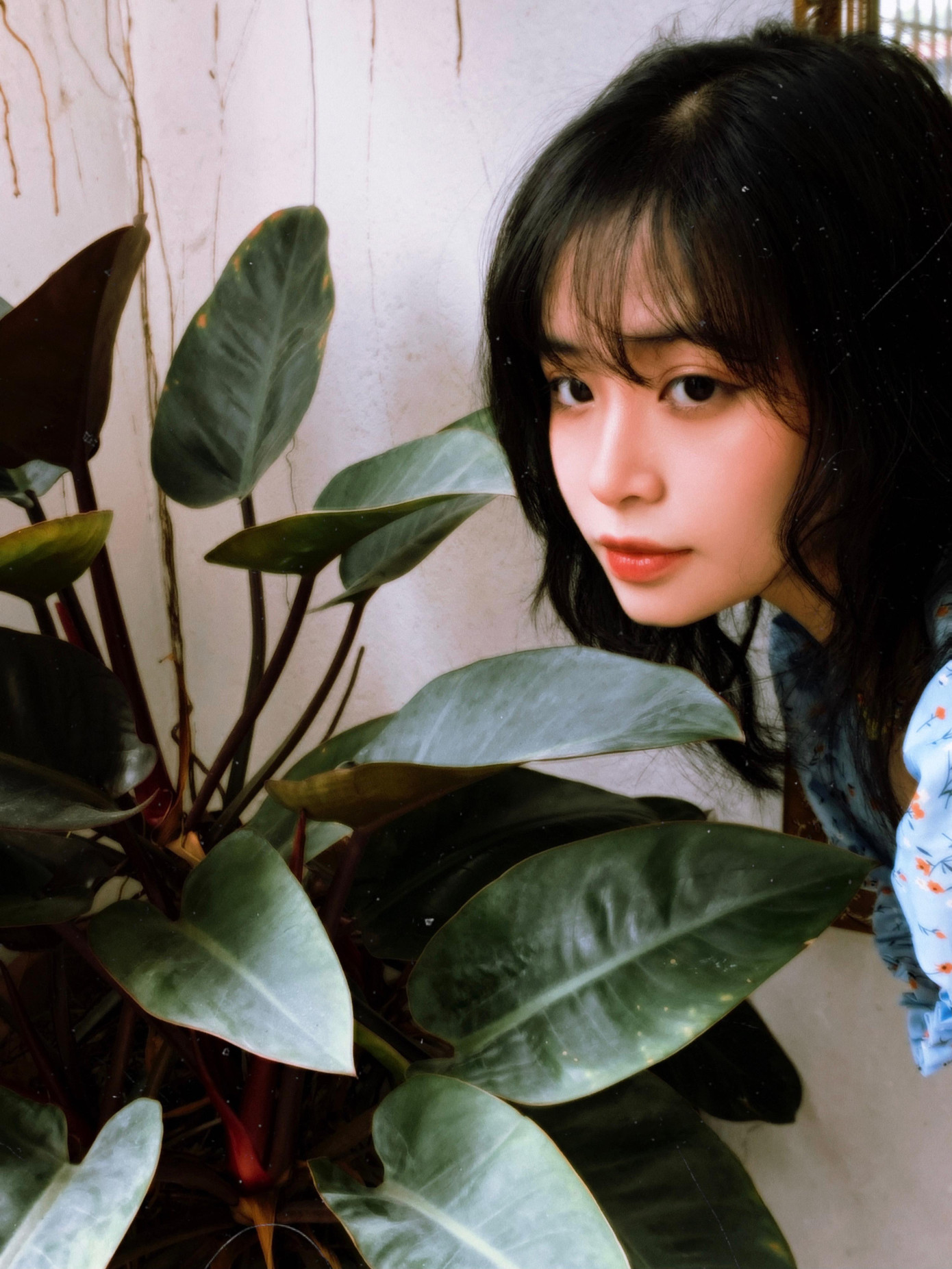 Triệu Hoàng Anh – sính viên năm thứ nhất ngành Quan hệ Công chúng, trường Đại học Kinh tết Quốc dân.