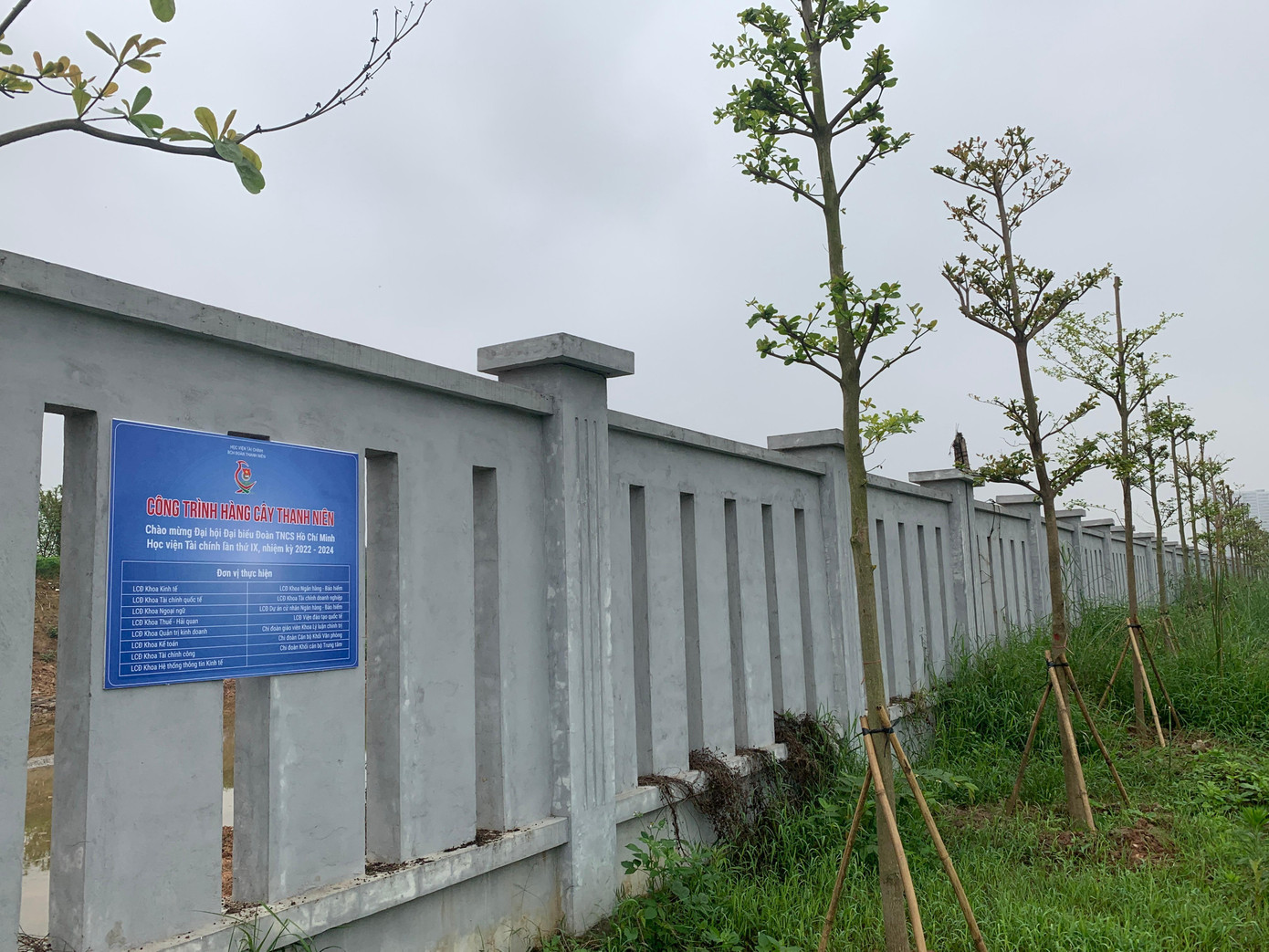 Công trình ”Hàng cây thanh niên” tại Khu Dự án mới HVTC. Công trình ”Hàng cây thanh niên” tại Khu Dự án mới HVTC.