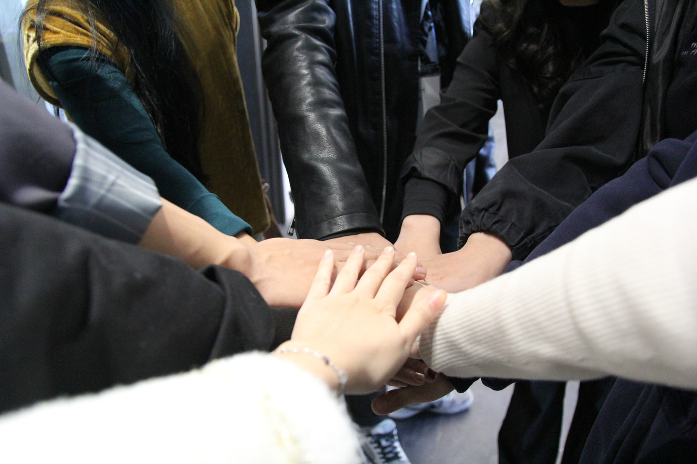 Hàn gắn vết thương, chữa lành mối quan hệ. Ảnh 502 Hàn gắn vết thương, chữa lành mối quan hệ. Ảnh 502