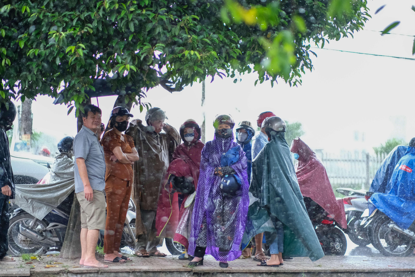 Nhiều phụ huynh đội mưa chờ con.