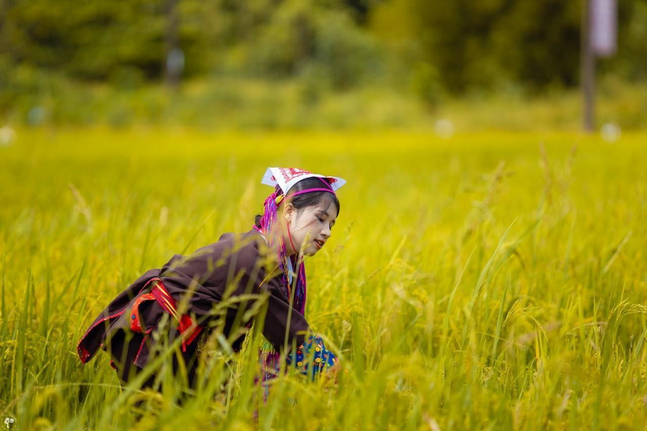 Hay hóa thân thành thiếu nữ người Dao trong video quảng bá du lịch.