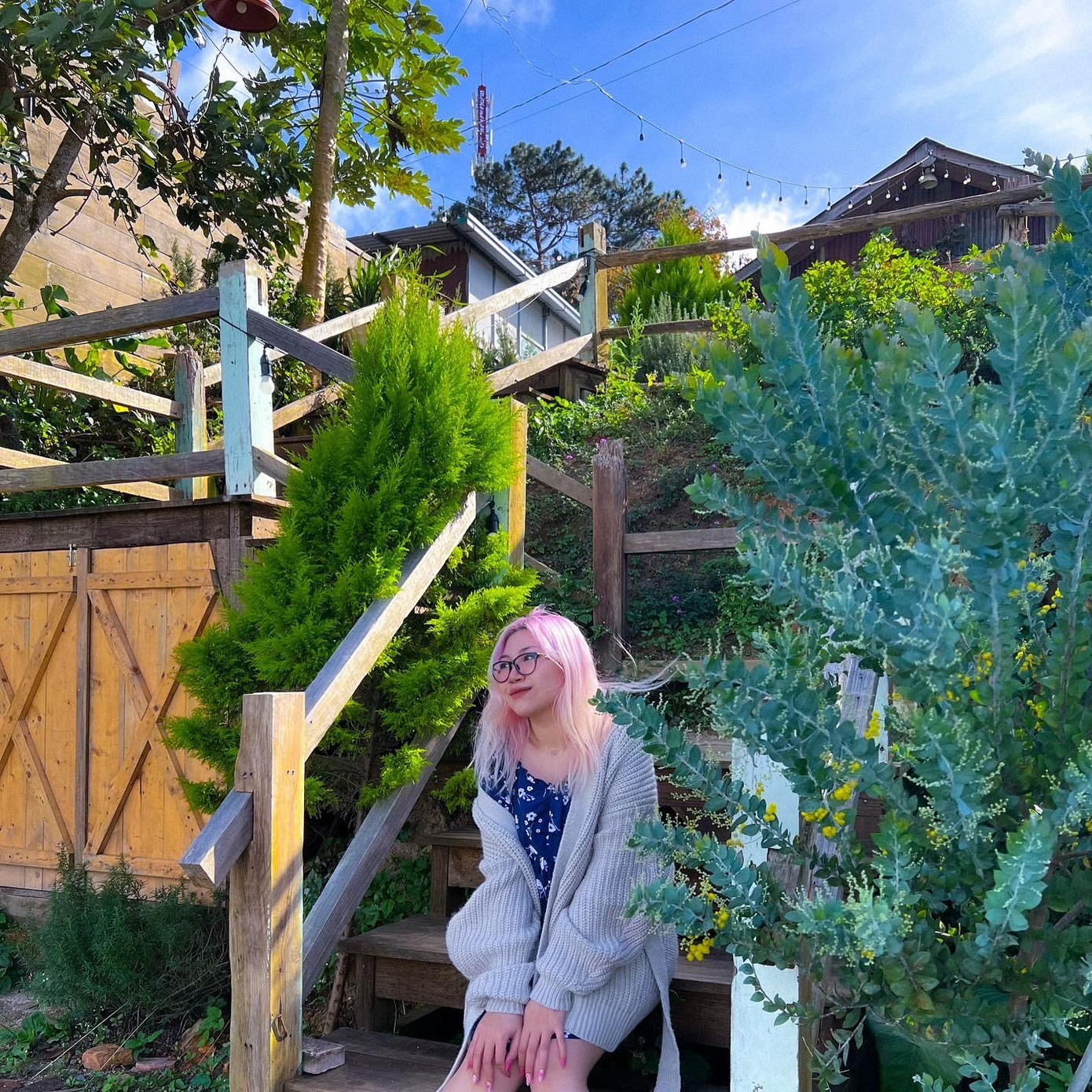 Nếu tình hình dịch không căng thẳng, cô dự định ghé thăm nhà người bạn đón Tết Nếu tình hình dịch không căng thẳng, cô dự định ghé thăm nhà người bạn đón Tết