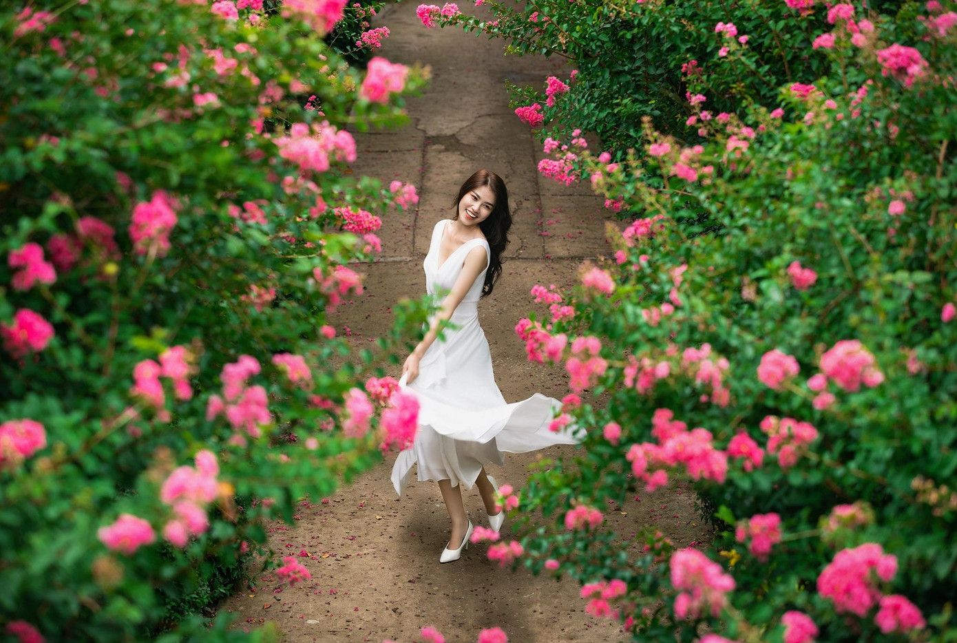 Giới trẻ xúng xính váy áo đi chụp ảnh cùng hoa tường vi (Ảnh: Lưu Đức Dũng).