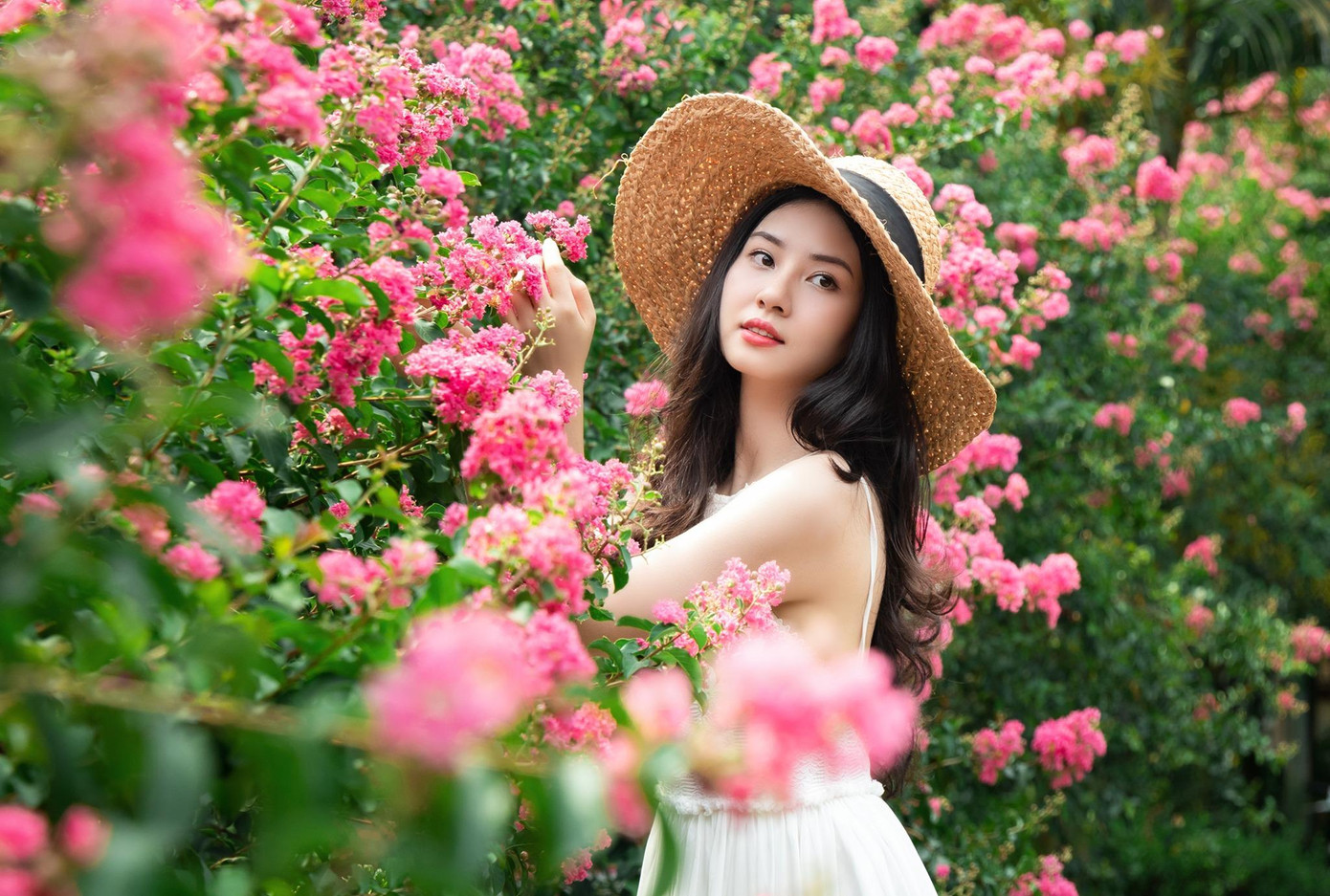 (Ảnh: Lưu Đức Dũng).