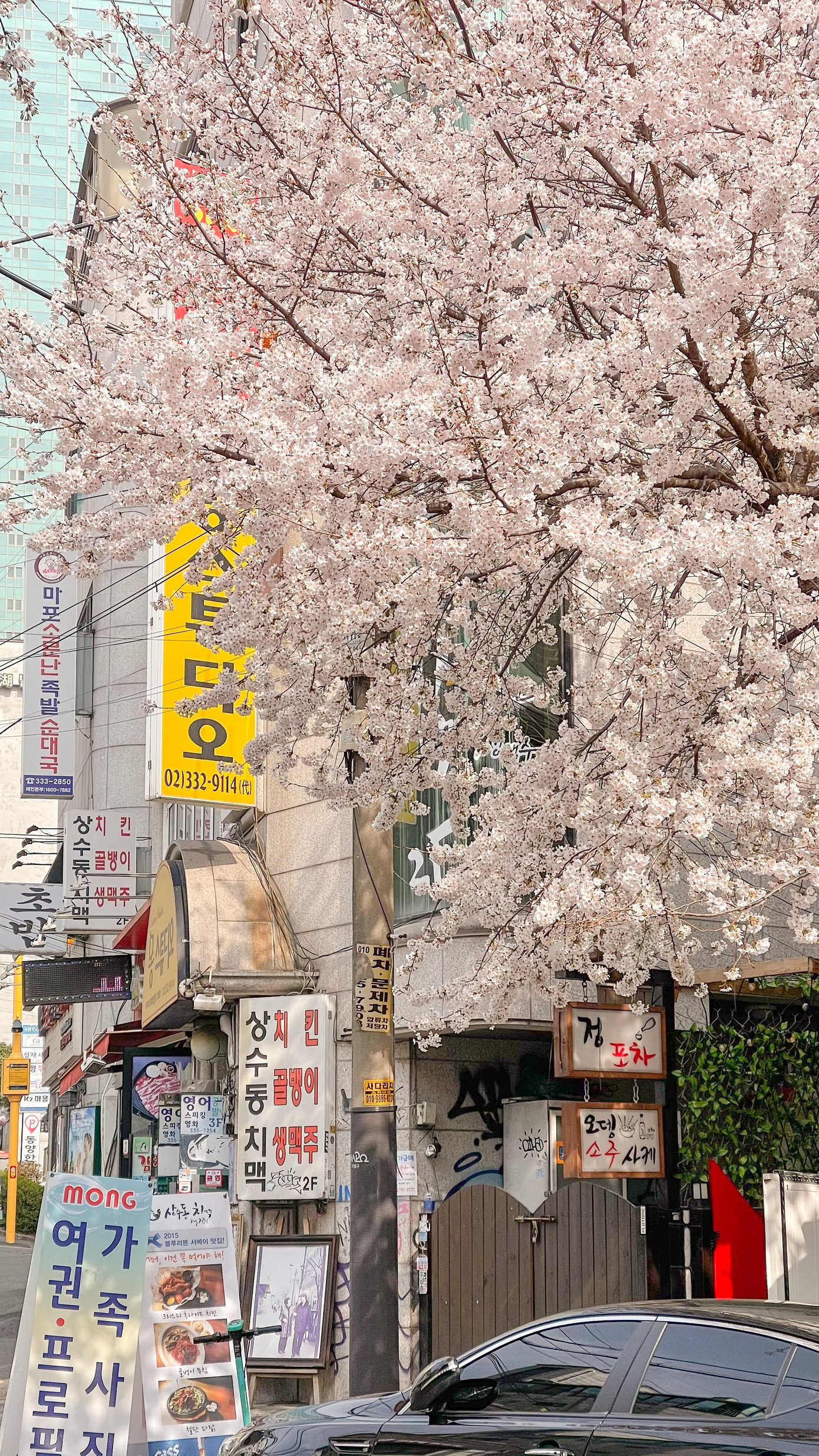 Năm nay là năm thứ 3 Mai đón Tết tại Hàn Quốc Năm nay là năm thứ 3 Mai đón Tết tại Hàn Quốc