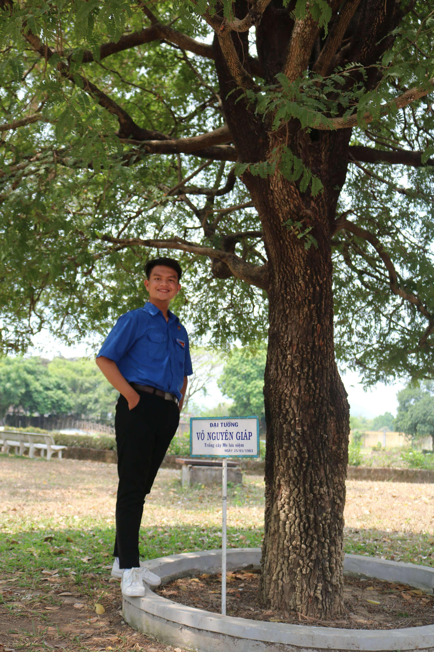 Cây me do đại tướng Võ Nguyên Giáp trồng tại khu di tích Quang Trung - Bình Định. Cây me do đại tướng Võ Nguyên Giáp trồng tại khu di tích Quang Trung - Bình Định.