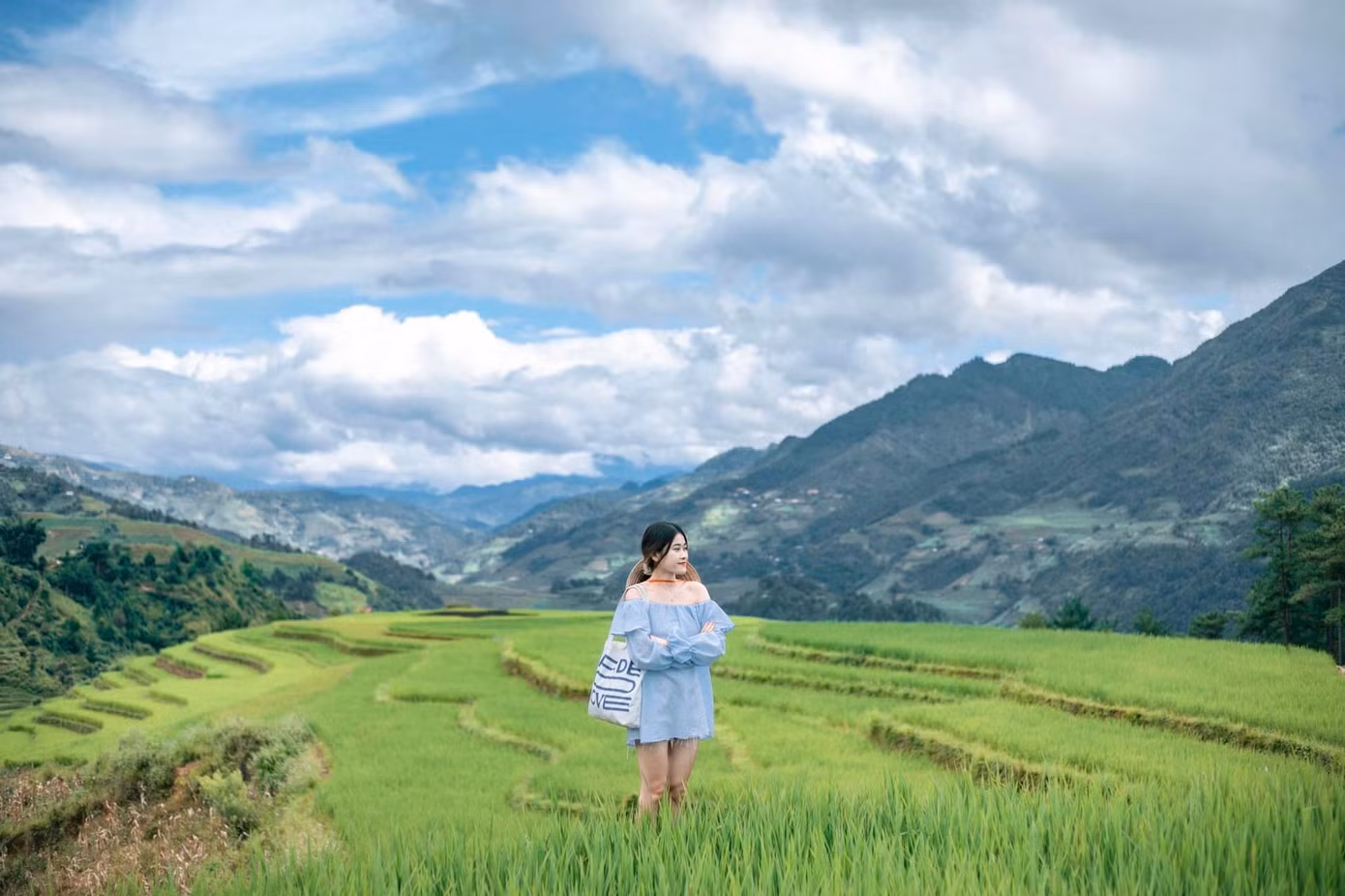 (Ảnh: Facebook Phương Tali)