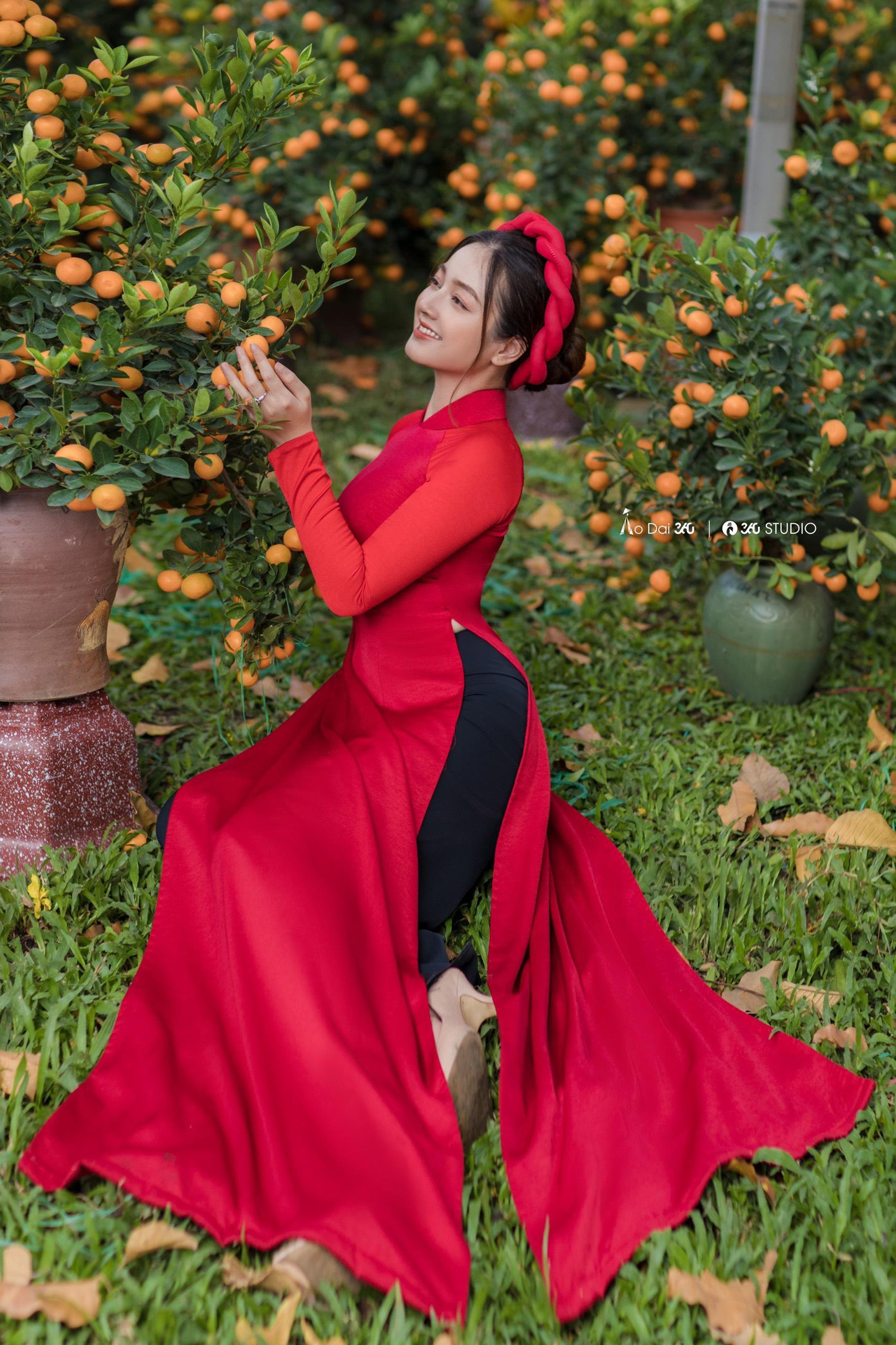 9X thả dáng bên vườn quất Tết.