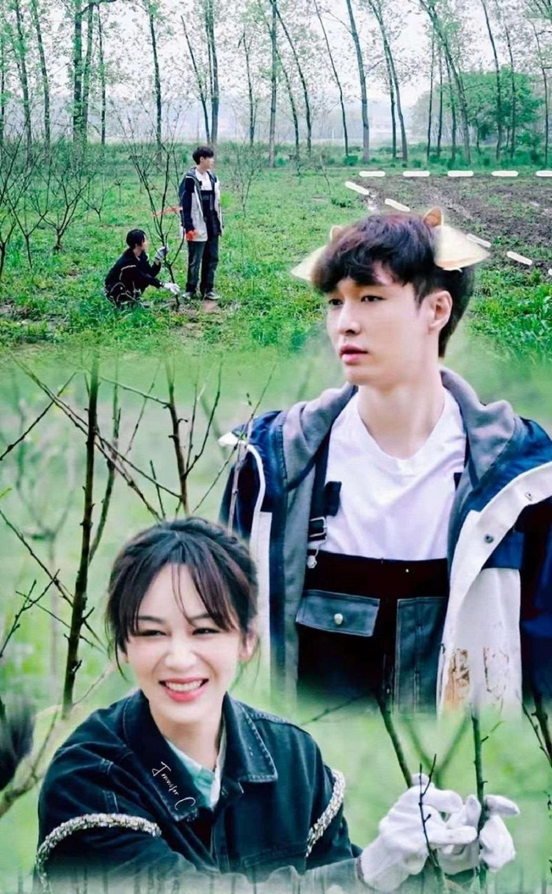 Trương Nghệ Hưng và Dương Tử từng có tin đồn hẹn hò, nhưng lần đầu tiên chính thức hợp tác chung là trong show &quot;Hướng Về Cuộc Sống&quot; và cả hai cũng đã phủ nhận tin đồn.