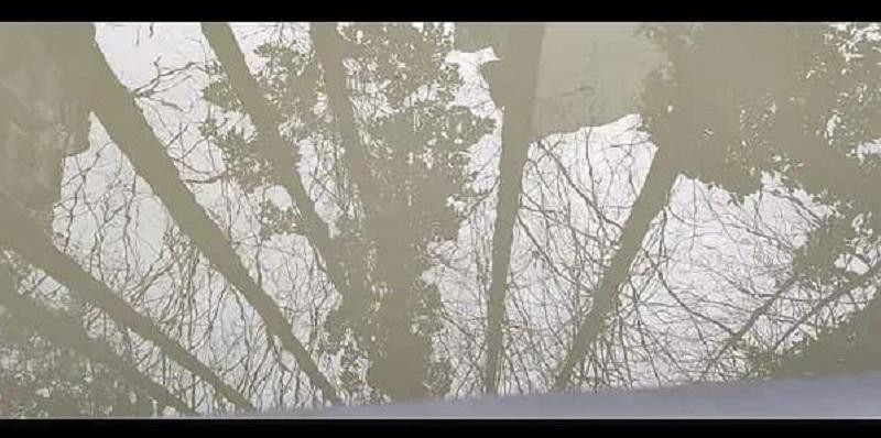 Hình ảnh dòng nước trắng đục do sữa được chụp lại. Thống kê có đến 270.000 chai sữa của nhãn hàng bị đổ bỏ. Hình ảnh dòng nước trắng đục do sữa được chụp lại. Thống kê có đến 270.000 chai sữa của nhãn hàng bị đổ bỏ.