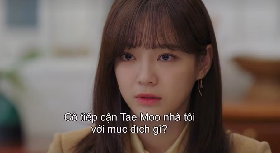 Và dường như chủ tịch tập đoàn Gofood đã ngăn cản không cho Ha Ri gặp gỡ Tae Moo nữa.