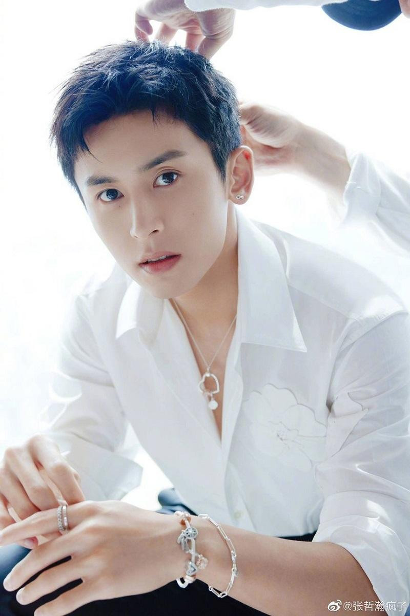 Chỉ trong vòng hai ngày, những tác phẩm làm nên tên tuổi Trương Triết Hạn có nguy cơ bị xóa bỏ chỉ vì scandal liên quan đến chính trị. Nam diễn viên cũng đang bị &quot;phong sát&quot; toàn diện.