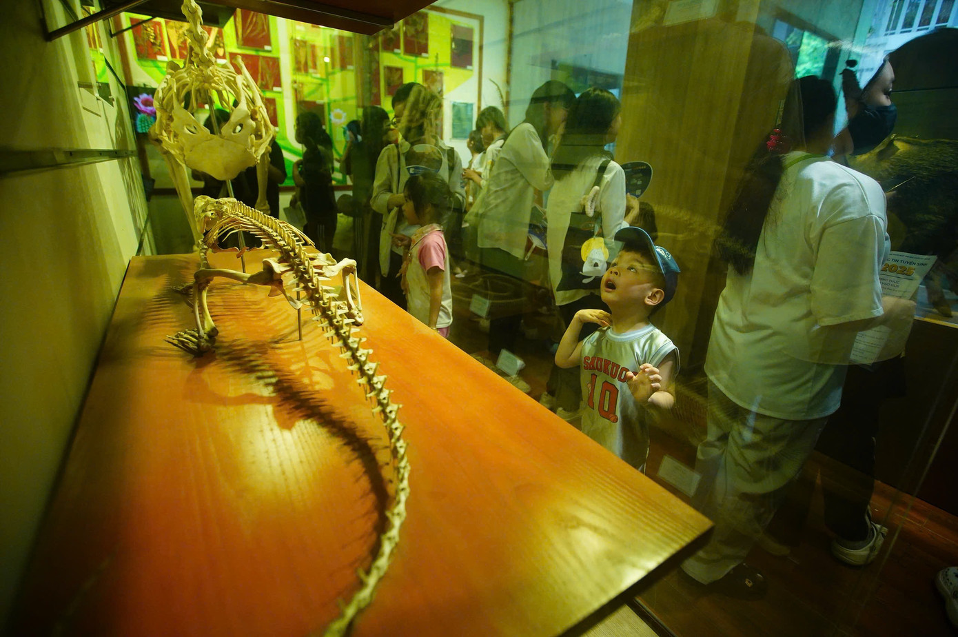 Ngày hội tuyển sinh khối các ngành Khoa học và Công nghệ: Những trải nghiệm đáng nhớ ảnh 75 Ngày hội tuyển sinh khối các ngành Khoa học và Công nghệ: Những trải nghiệm đáng nhớ ảnh 75