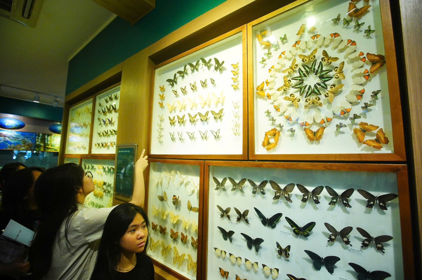 Ngày hội tuyển sinh khối các ngành Khoa học và Công nghệ: Những trải nghiệm đáng nhớ ảnh 76 Ngày hội tuyển sinh khối các ngành Khoa học và Công nghệ: Những trải nghiệm đáng nhớ ảnh 76