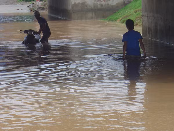 Bì bõm trên đại lộ Thăng Long