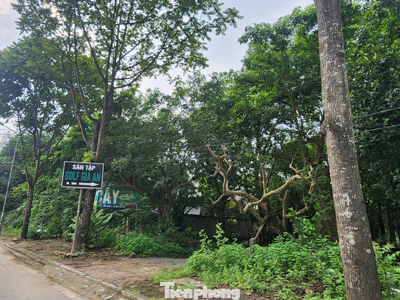 Ngay từ Đại lộ Thăng Long, đã có biển quảng cáo, giới thiệu sân tập golf Gia An.