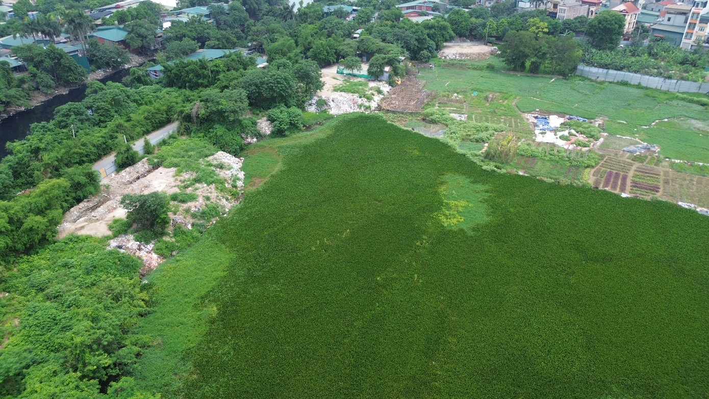 Khu vực ven hồ Song có nhiều là nơi các đối tượng vi phạm đổ trộm trạc xây dựng. Chỉ riêng ven bờ dọc phía đường gom ven sông Nhuệ đi vào khu đô thị Vinhomes Green Villa đã có 3 điểm đổ trạc thải. Hiện UBND phường Đại Mỗ đã quây tôn để ngăn chặn các hành vi vi phạm. Khu vực ven hồ Song có nhiều là nơi các đối tượng vi phạm đổ trộm trạc xây dựng. Chỉ riêng ven bờ dọc phía đường gom ven sông Nhuệ đi vào khu đô thị Vinhomes Green Villa đã có 3 điểm đổ trạc thải. Hiện UBND phường Đại Mỗ đã quây tôn để ngăn chặn các hành vi vi phạm.