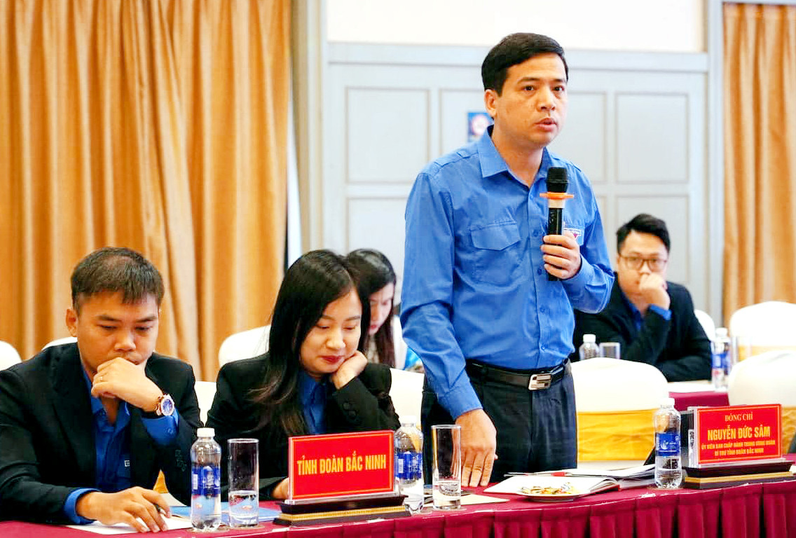 Hội nghị đã nhận được nhiều ý kiến trao đổi từ đại diện các ban, đơn vị T.Ư Đoàn và đại diện các tỉnh đoàn trong cụm. Ảnh: Kiều Anh