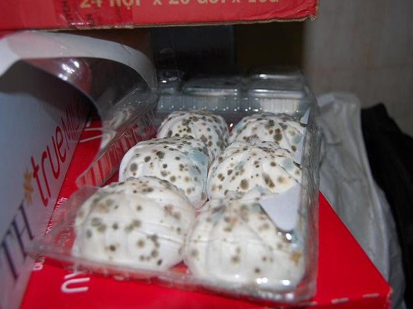 Bánh bao mốc xanh, đỏ phát hiện trong kho hàng . Bánh bao mốc xanh, đỏ phát hiện trong kho hàng