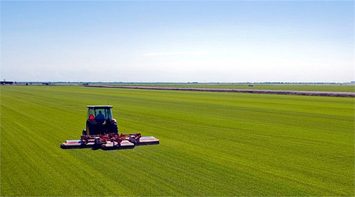 7. King Ranch: Ông sở hữu 4,1 tỷ m2 đất trang trại chăn nuôi gia súc và 300 triệu m2 đất trang trại ở miền Nam Texas và những thửa đất rộng ở Florida – chuyên sản xuất nước cam, mía, trông cỏ, đậu xanh, ngô ngọt