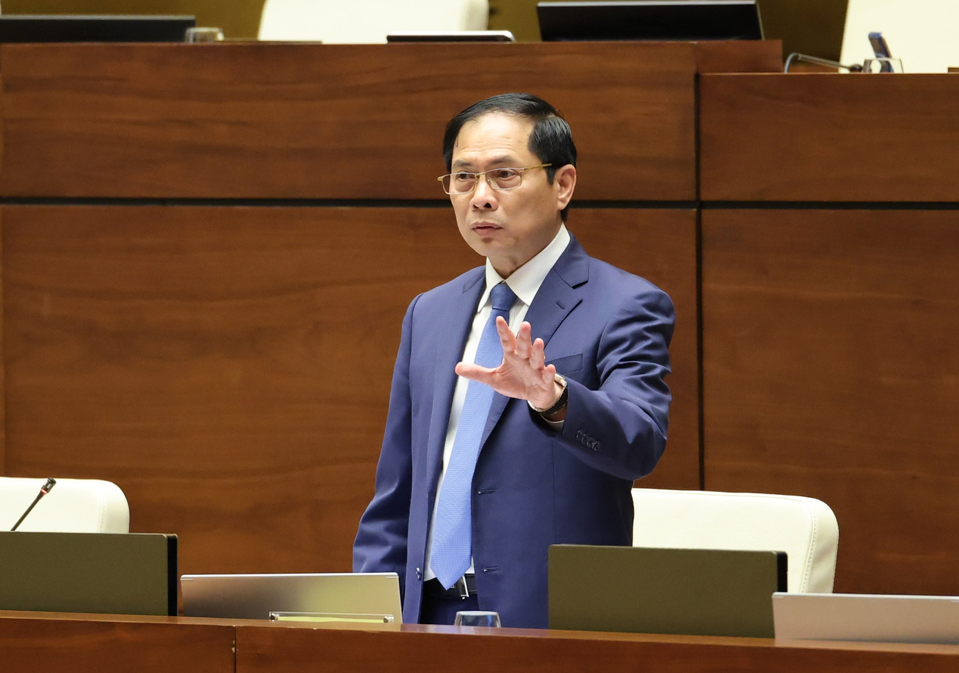 Bộ trưởng Ngoại giao Bùi Thanh Sơn