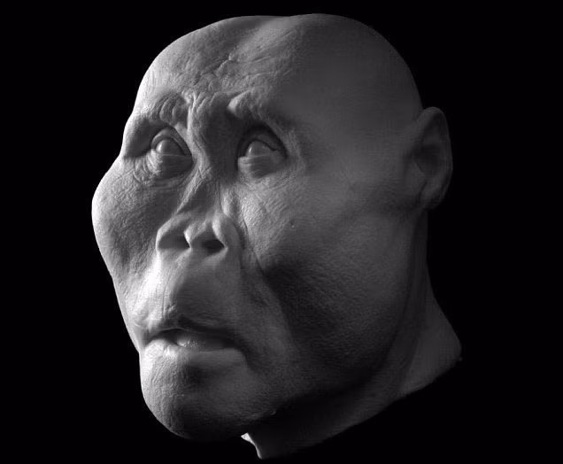 Khuôn mặt của Paranthropus boisei cách đây 2 triệu năm trước với đặc tính nổi bật là có răng hàm to và men răng dày nhất