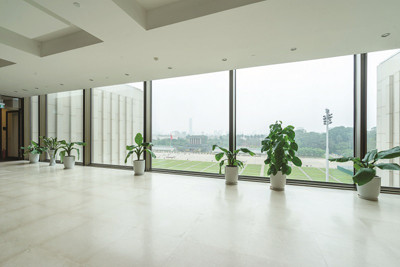 Bí quyết để không phải “đau đầu” khi chọn cửa làm nhà ảnh 3