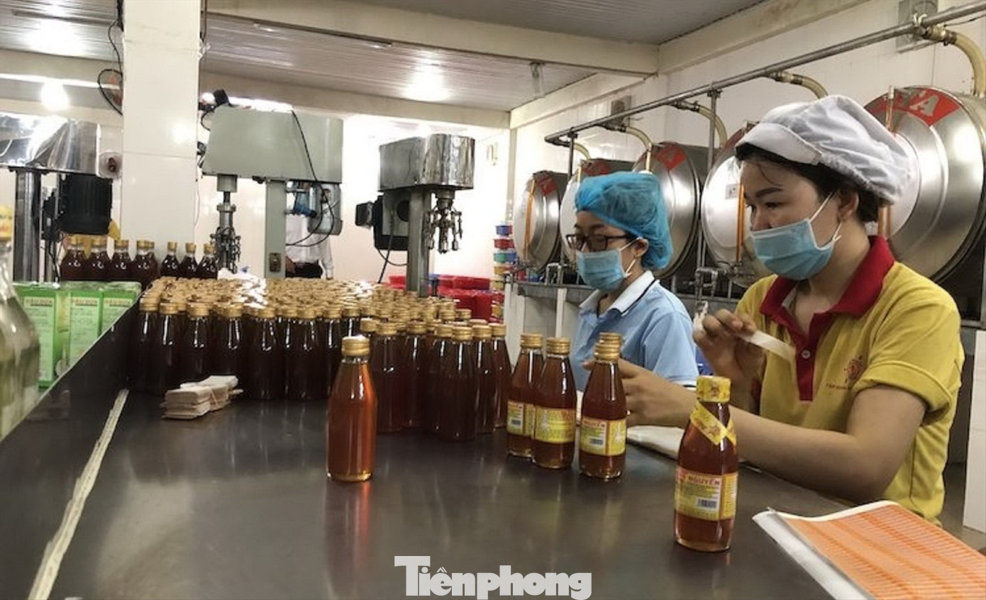 Công ty Xuân Nguyên vẫn gặp khó khi tiếp cận vốn ưu đãi doanh nghiệp từ ngân hàng để đầu tư sản xuất, kinh doanh