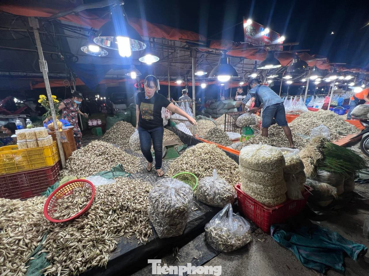 Chợ đầu mối Thủ Đức đã dành riêng một khu vực riêng để kinh doanh mặt hàng kiệu Tết Chợ đầu mối Thủ Đức đã dành riêng một khu vực riêng để kinh doanh mặt hàng kiệu Tết