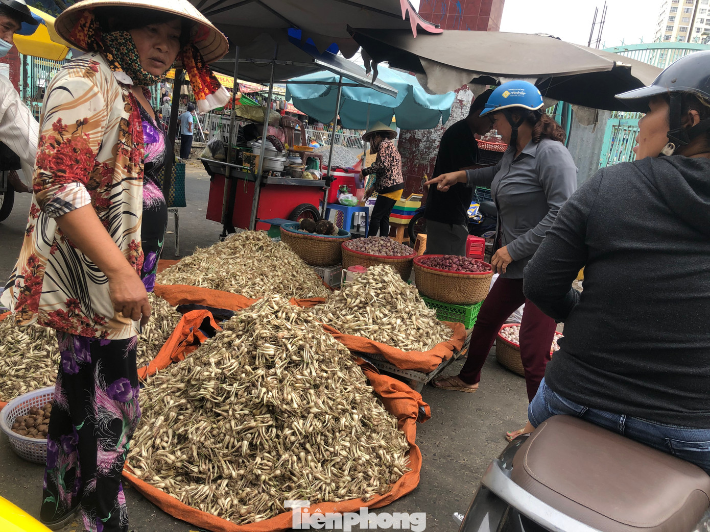 Kiệu Tết tại các chợ bán lẻ có giá cao hơn chợ đầu mối từ 15.000-30.000 đồng/kg Kiệu Tết tại các chợ bán lẻ có giá cao hơn chợ đầu mối từ 15.000-30.000 đồng/kg