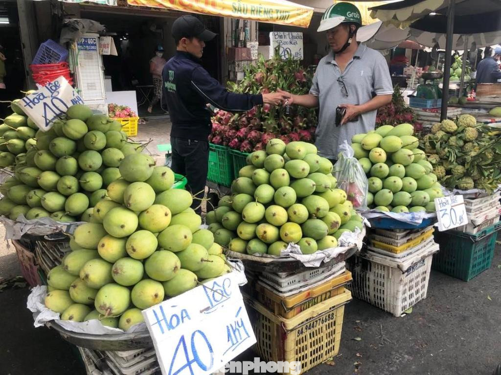 Xoài cát Hòa Lộc năm nay cũng rộ chợ, giá rớt mạnh chỉ còn từ 20.000-40.000 đồng/kg, trong khi trước đây lên tới cả trăm ngàn đồng/kg.