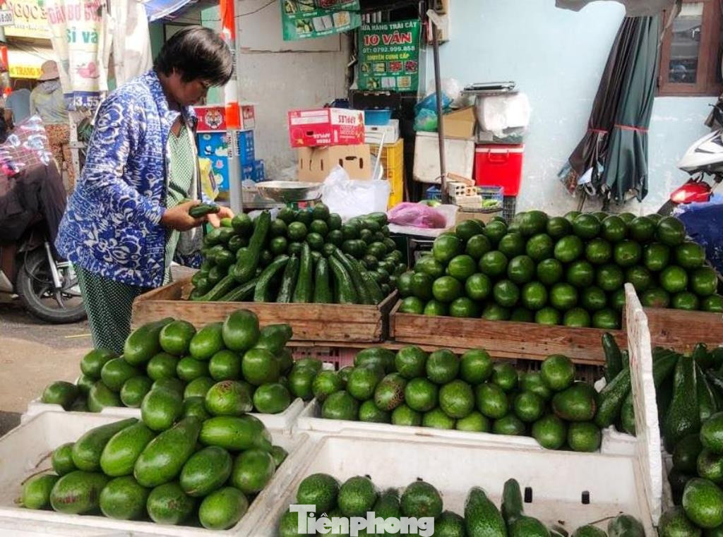 Bơ sáp từ Tây Nguyên đưa về chợ TPHCM chỉ có giá từ 20.000 đồng/kg