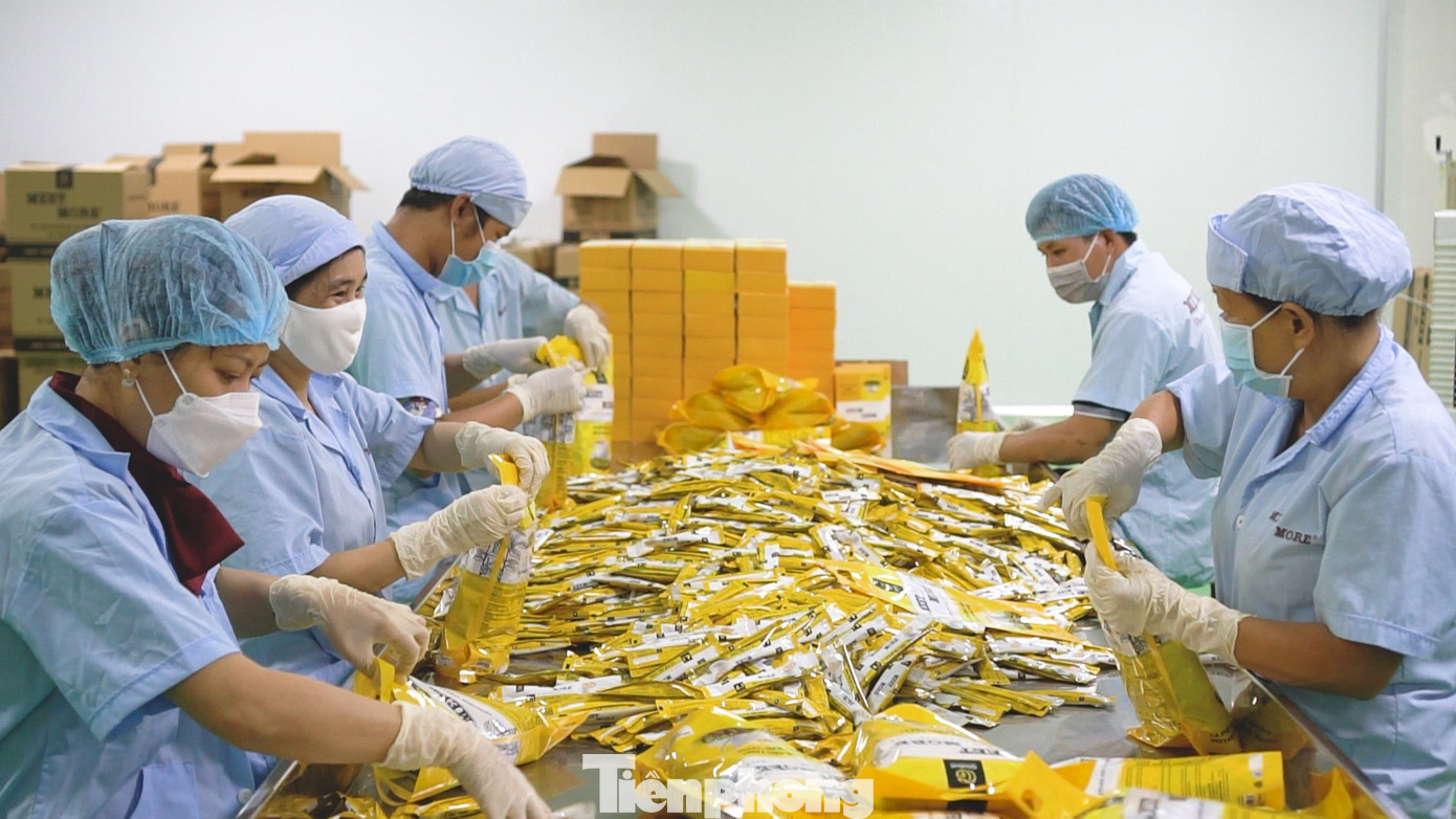 Ngân hàng TPHCM triển khai nhiều chương trình hỗ trợ doanh nghiệp nhỏ và vừa tái hoạt động sản xuất, kinh doanh. Ngân hàng TPHCM triển khai nhiều chương trình hỗ trợ doanh nghiệp nhỏ và vừa tái hoạt động sản xuất, kinh doanh.