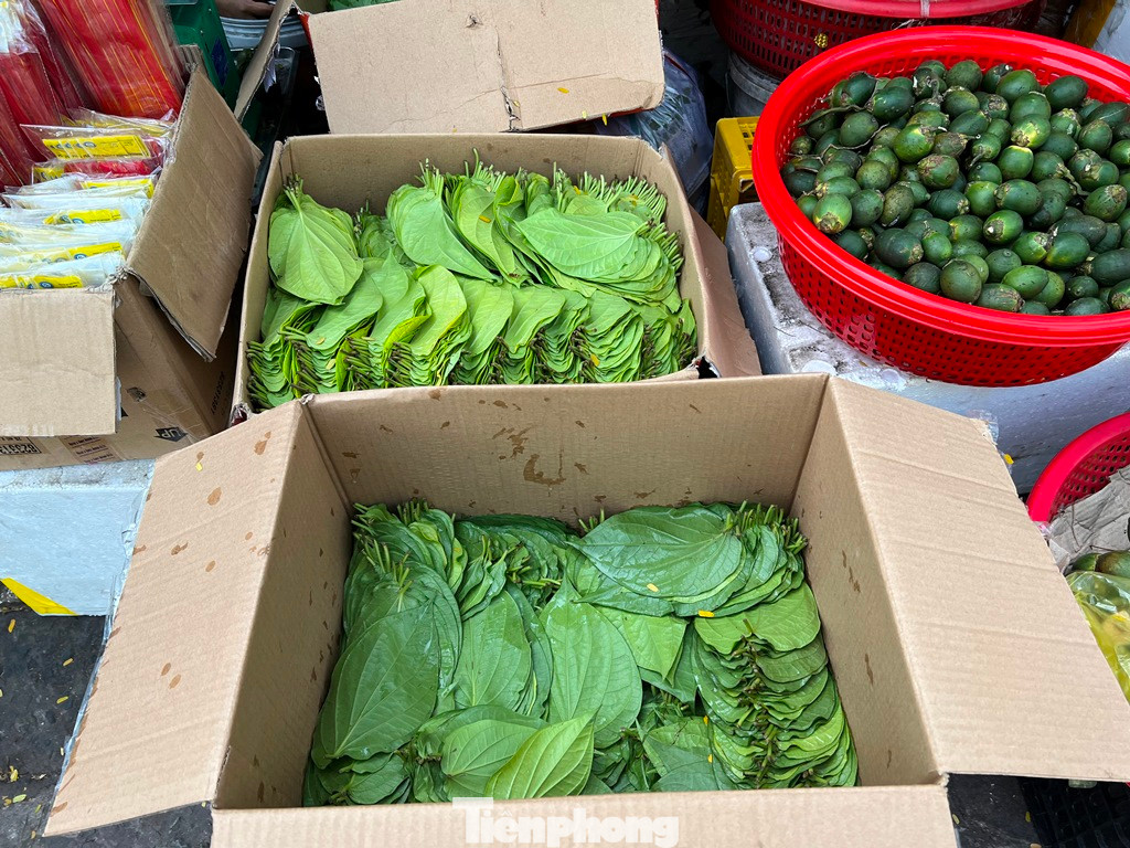 Những lá trầu xanh mướt, tươi non...