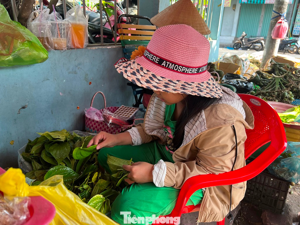 Các em nhỏ nghỉ học dịp Tết cũng phụ ông bà, cha mẹ lựa lá trầu.