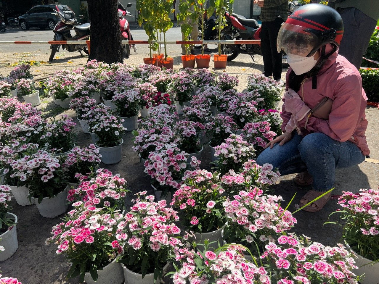 100.000 đồng/3 chậu hoa đẹp, chỉ trong phút chốc đã hết sạch hàng.