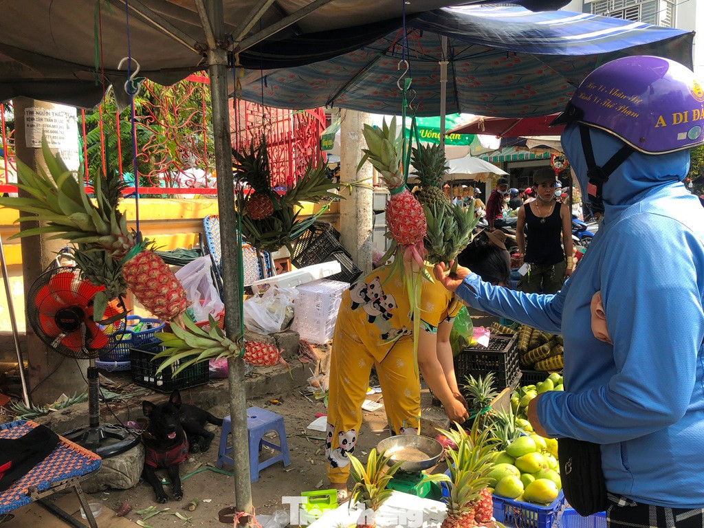 Tại chợ Bà Chiểu (quận Bình Thạnh), các loại khóm đỏ, khóm đầu rồng... được treo cao cho khách dễ lựa chọn. So với hôm qua, sáng nay các mặt hàng trái cây đều tăng giá thêm từ 10.000-30.000 đồng (tùy loại), như cam canh 70.000 đồng/kg, nay tăng lên 100.000 đồng/kg, bưởi da xanh 100.000 đồng/kg cũng đã có giá mới 120.000 đồng/kg...