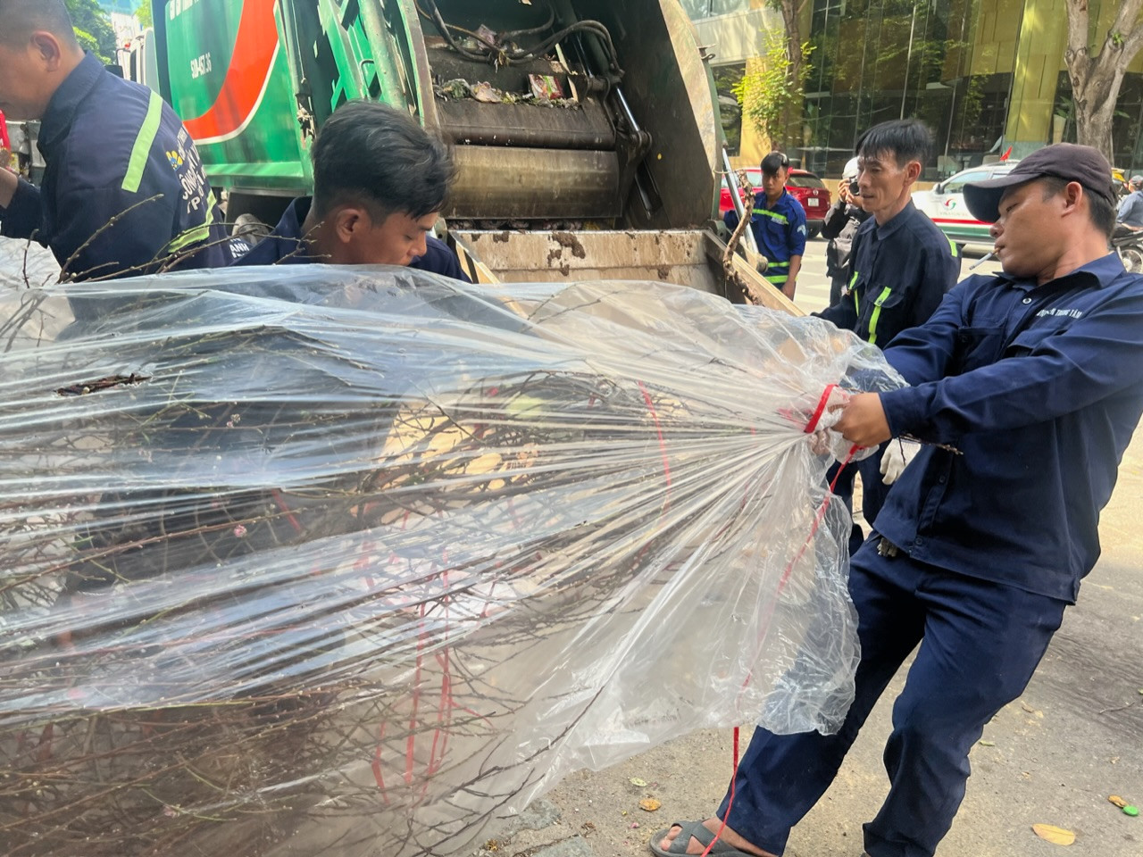 Nhiều cây đào lớn không bán được, tiểu thương bỏ lại. Nhân viên vệ sinh mang đi ép rác.