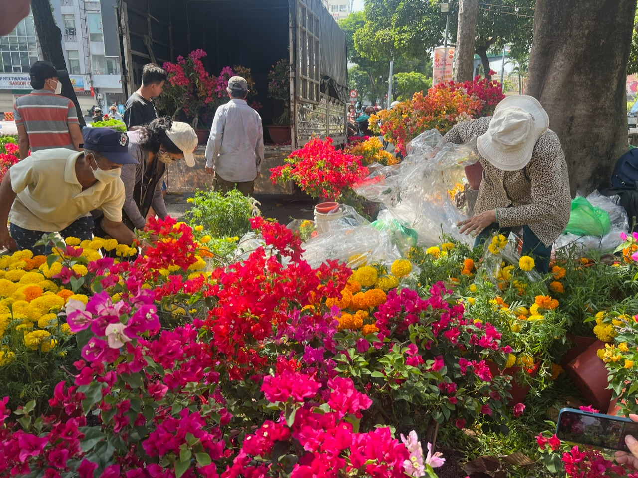 Nói về lý do phá bỏ hoa, ông T. cho biết: "Nếu bán giảm giá thì năm sau khó bán".