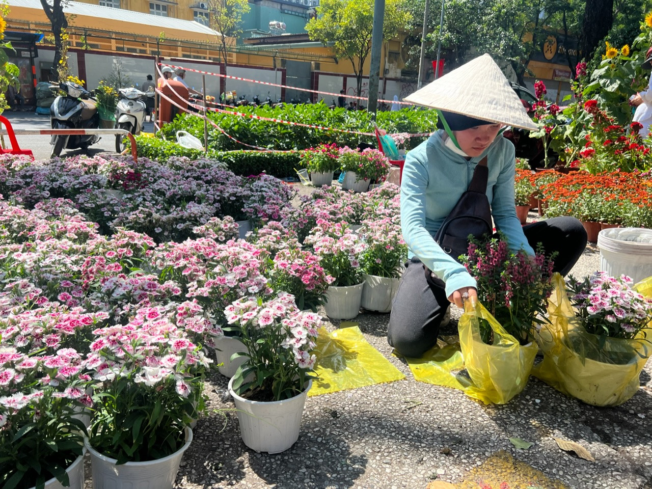 30 Tết: 'Nhiều khách chỉ hỏi rồi đi, mong bán được hoa kiếm tiền tiêu Tết nhưng khó quá' ảnh 19